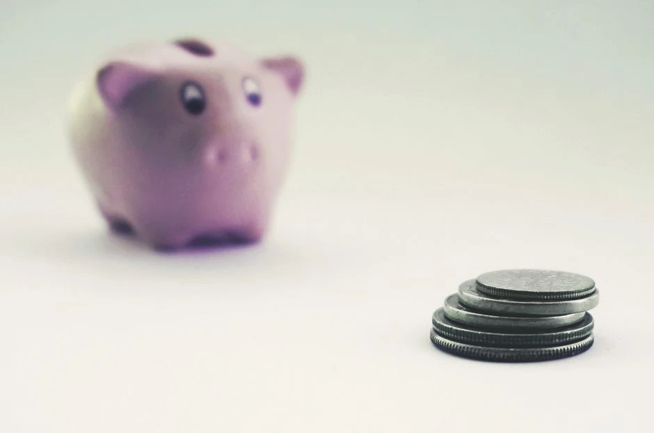 Piggy bank and coins representing daily savings