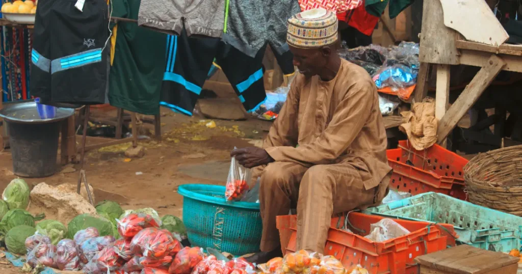 Small trader running an informal business in South Africa, representing low or irregular income