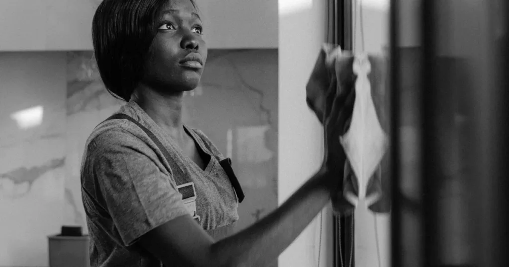 Domestic worker cleaning professionally in South Africa